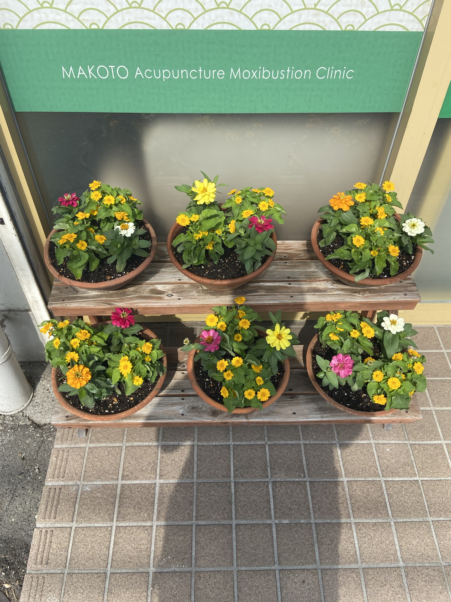 肌再生鍼